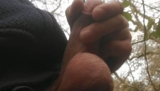 Masturbation in the forest